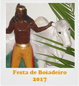 Festa de Boiadeiro - 2017
